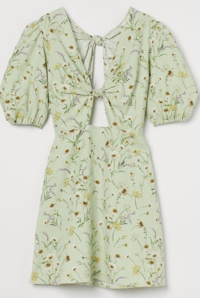 H&M Wildflower Linen Dress